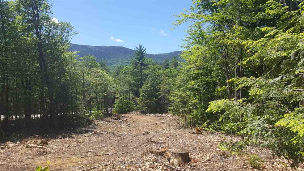 51 Ridge Cir, North Conway, NH 03860 - photo 1