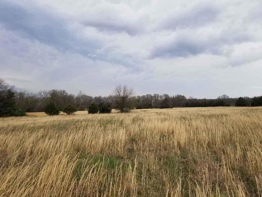 21772 State Highway 32, Stockton, MO 65785 - photo 1