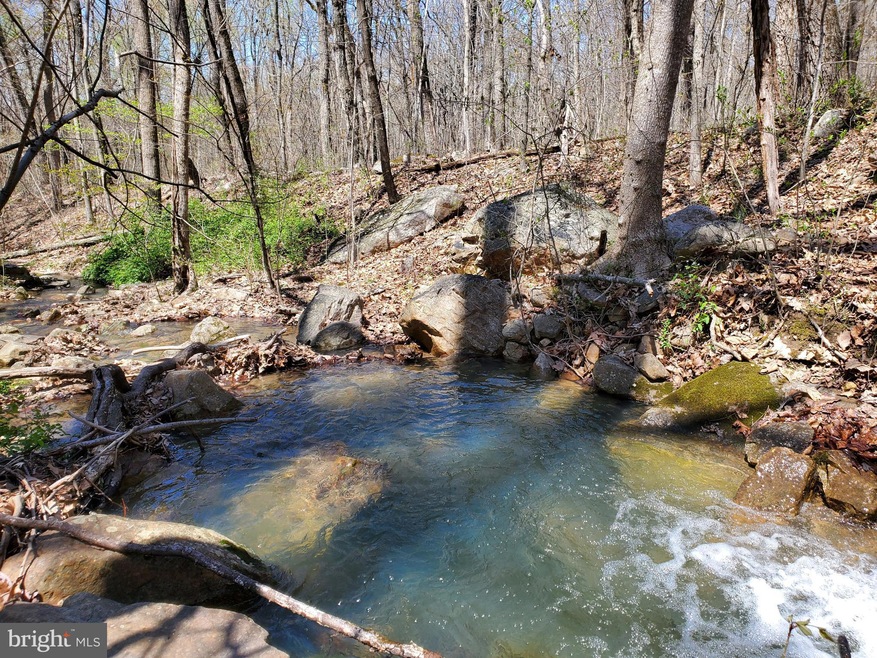 0 Brush Leaf Ln unit VASH2003004, Mount Jackson, VA 22842 - photo 1