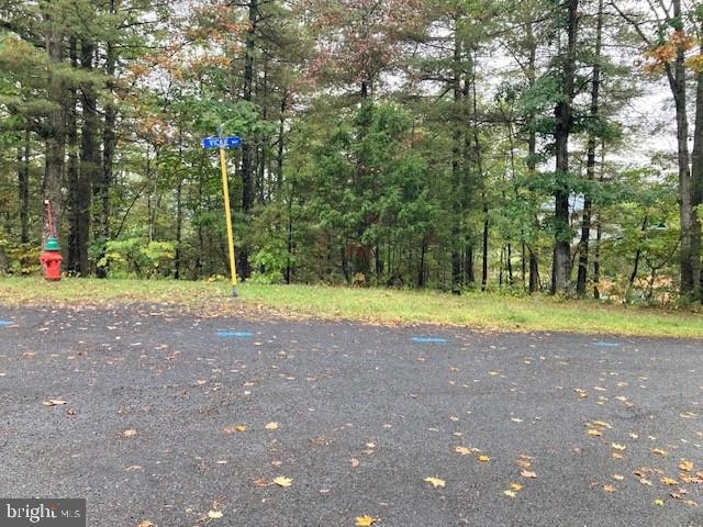 Section 11 Vickie Way, Basye, VA 22810 - photo 1