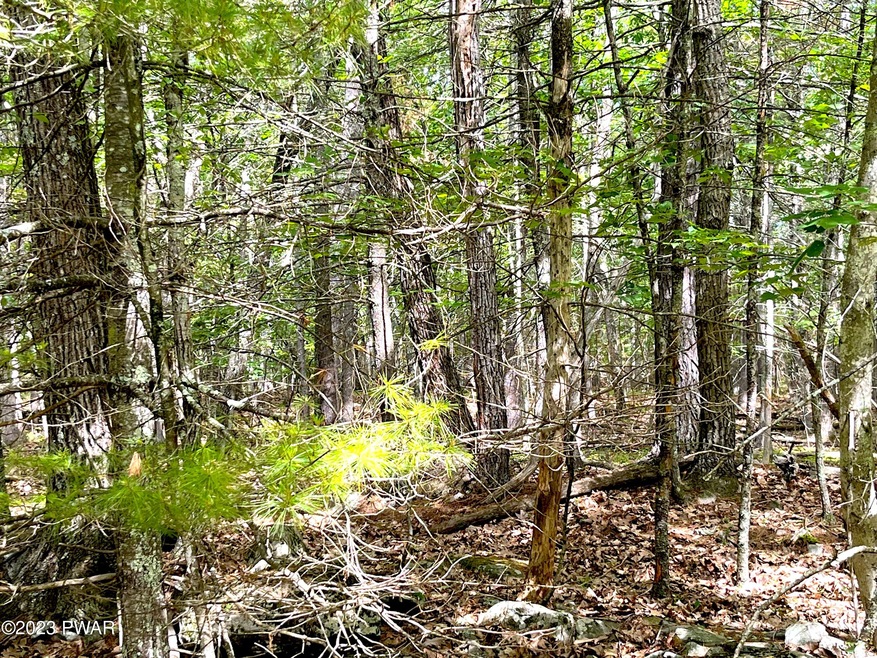 481 Eastwood Cir, Hawley, PA 18428 - photo 1