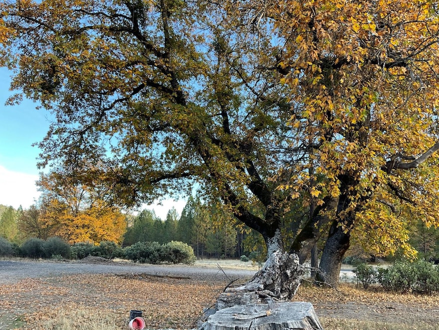 For Sale $79,900 • Co-Listing Agent