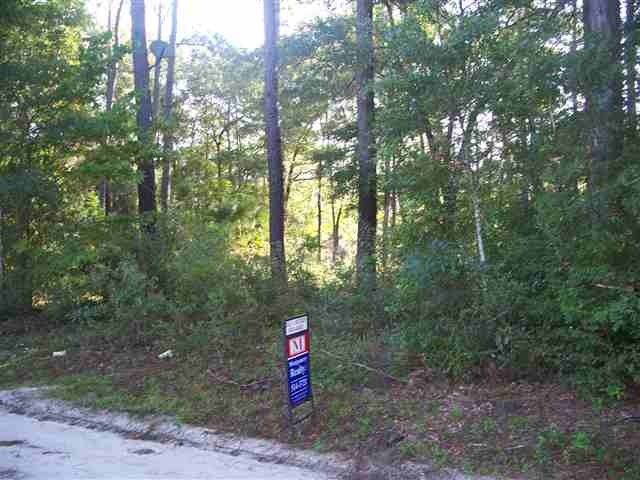 0 Lake Ellen Dr unit 1 227328, Crawfordville, FL 32327 - photo 1