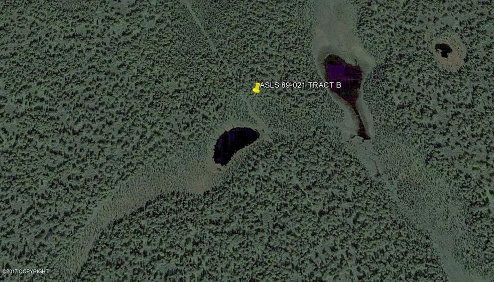 ASLS 89-021 TRACT B Arial View