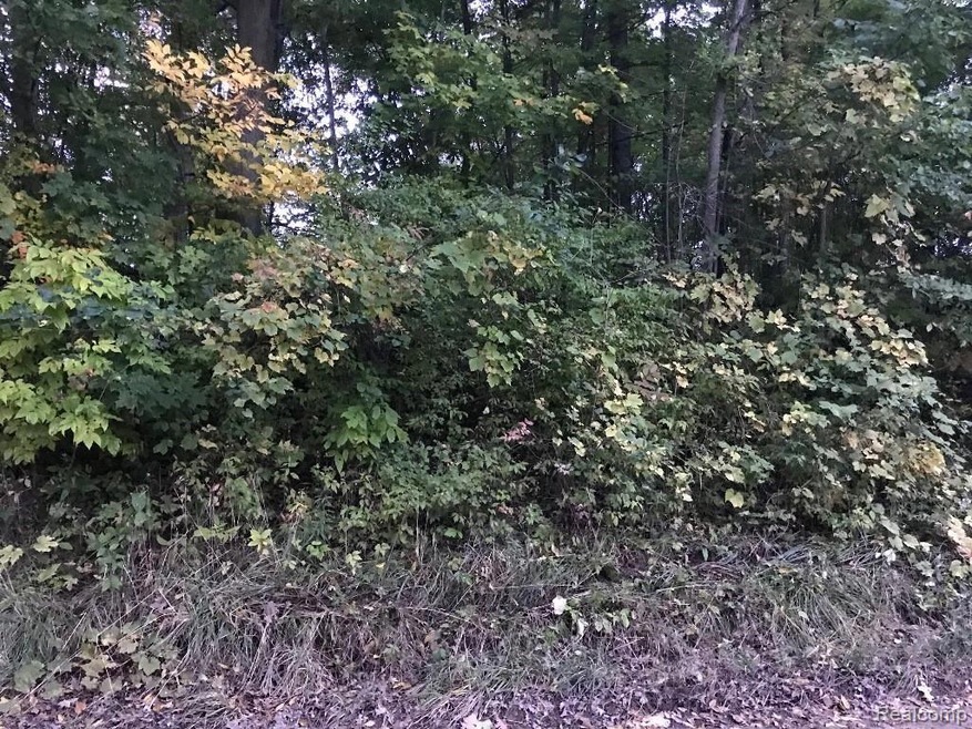 Rolston Road1.jpg