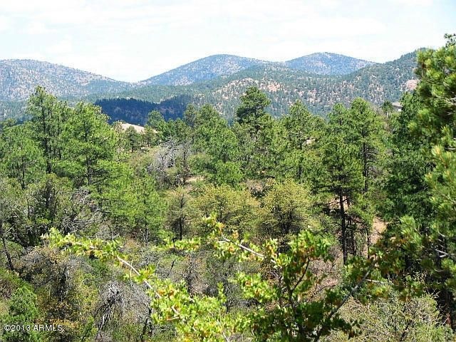 1 Views from Home Site