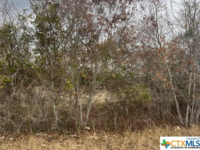 665 County Road 4810, Copperas Cove, TX 76522 - photo 1