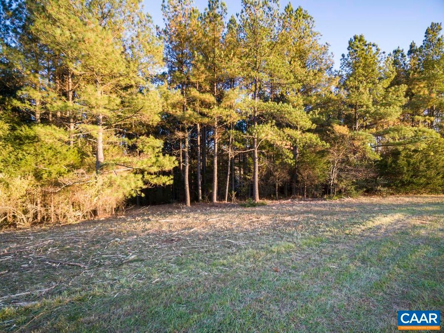 unlisted-address, Ruckersville, VA 22968 - photo 1