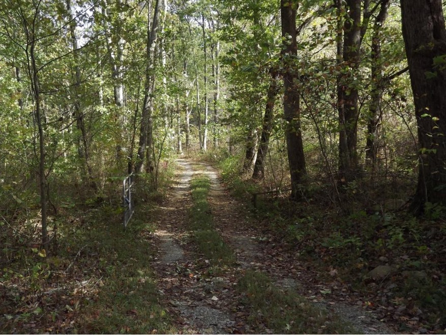 Driveway To The Property