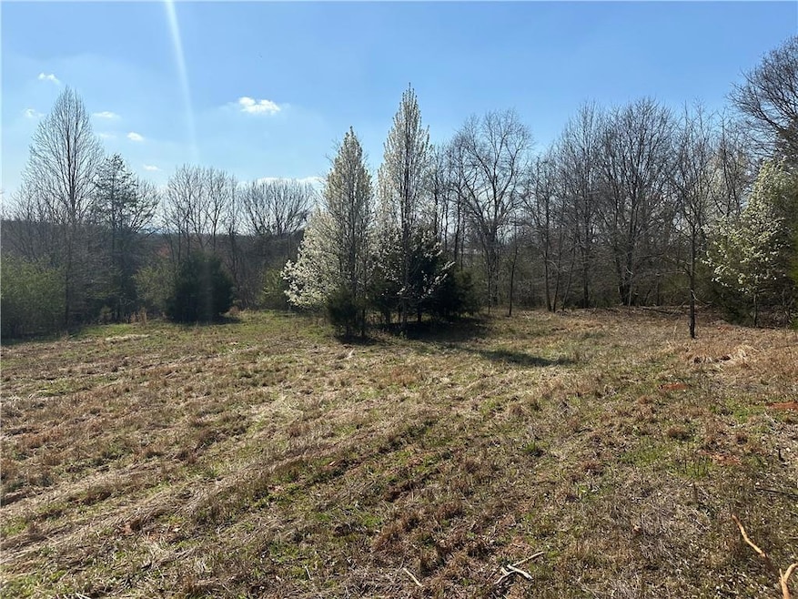 Lot 1 D from the Cul-de-sac