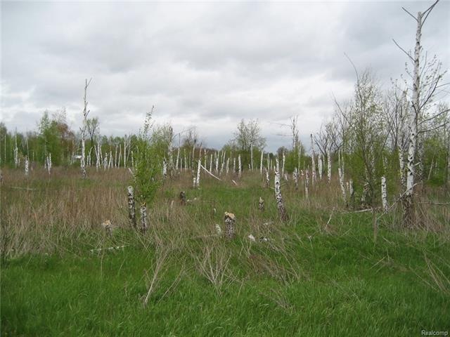 View on the property.