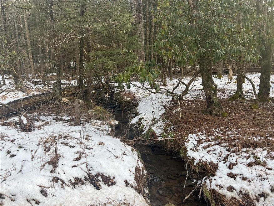 Lot 85 Perry Pond Rd, Tusten, NY 12764 MLS ONEH6290977