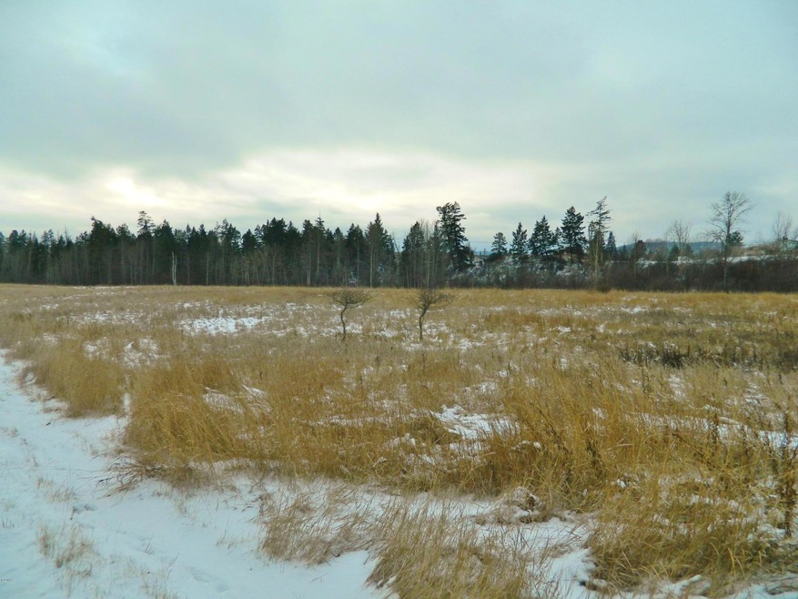 105 Selders Ln, Kalispell, MT 59901 - photo 1