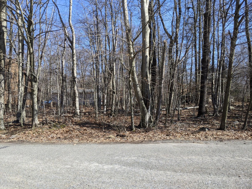 Lot 705, Aspen Terrace, Tobyhanna, PA 18466 - photo 1