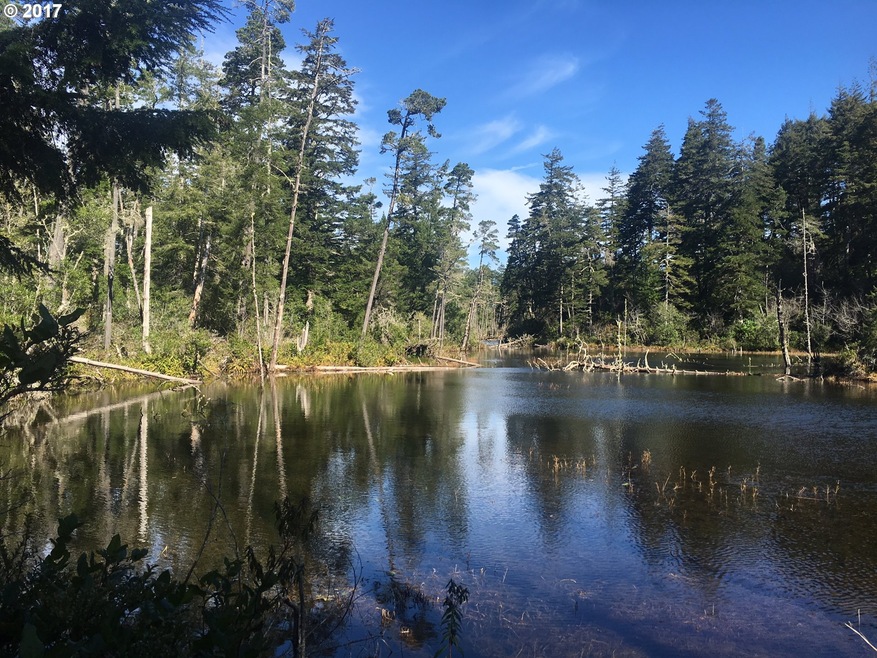 5736 Martin Rd, Florence, OR 97439 - photo 1