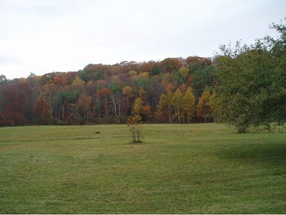 1406 Nh Route 120, Cornish, NH 03745 - photo 1
