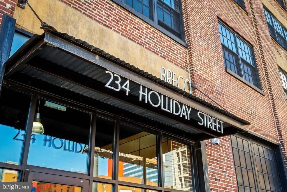 234 Holliday St unit 203, Baltimore, MD 21202 - photo 1