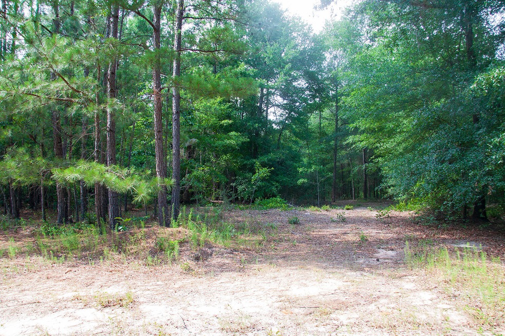 50 Acres