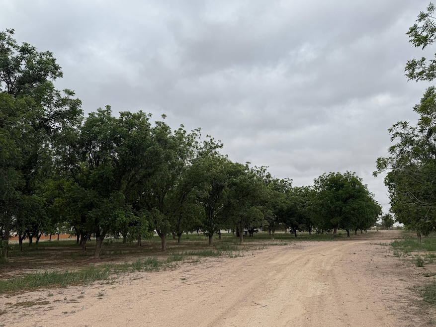 449 E 11th St, Lake Arthur, NM 88253 - photo 1