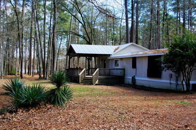 Main View