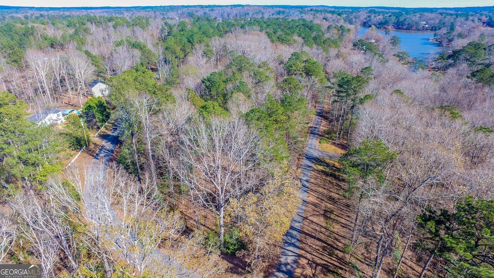 0 Haley Rd unit 10651240, Jackson, GA 30233 - photo 1