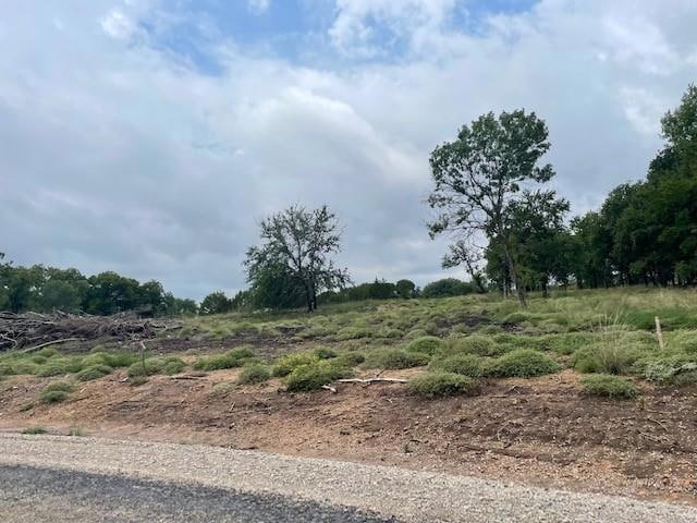 620 Roy Coffee Ct, Weatherford, TX 76087 - photo 1