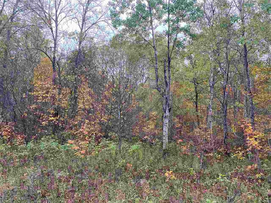 0000 Bows Lake Rd, Hudson Township, MI 49730 - photo 1