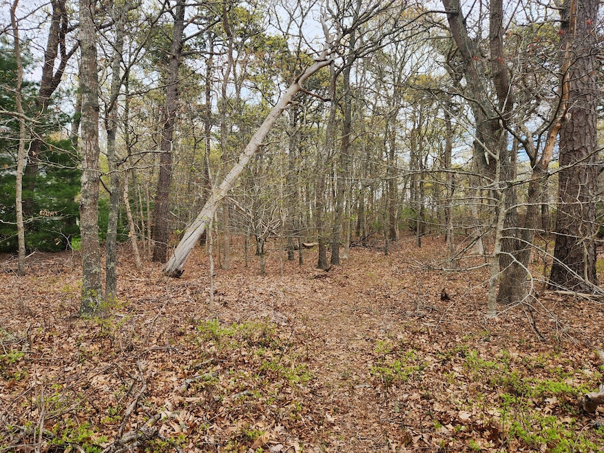 Path into Lot