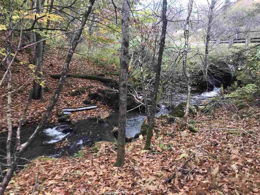 00 Mud Hollow Rd, Kirby, VT 05851 - photo 1