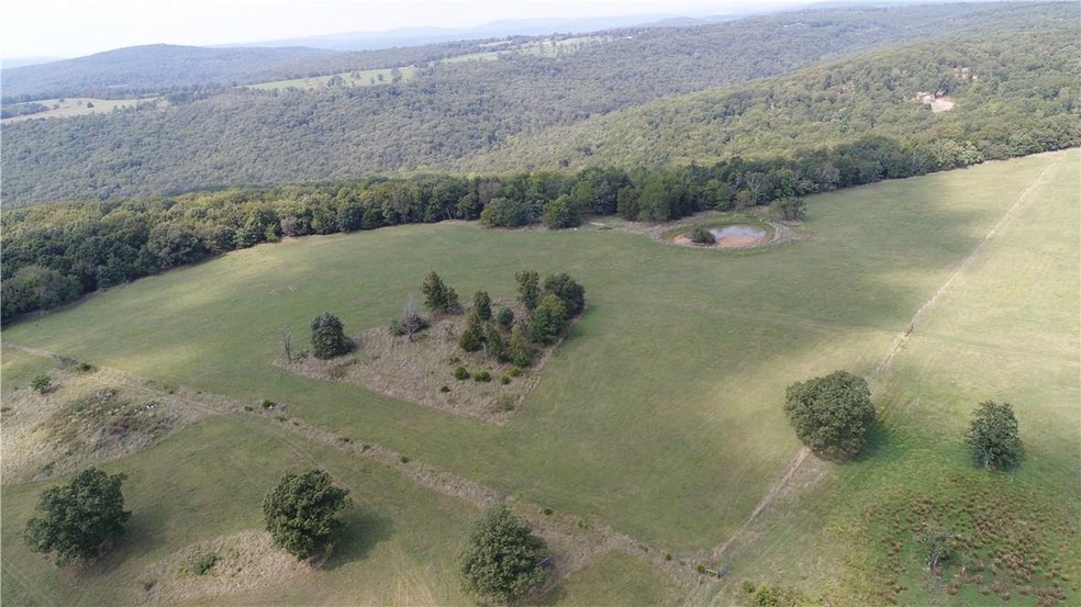 TBD Heflin Thomas Farm Rd, West Fork, AR 72774 - photo 1