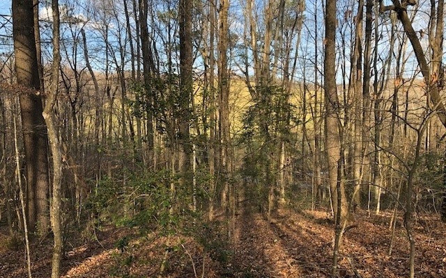 Main View