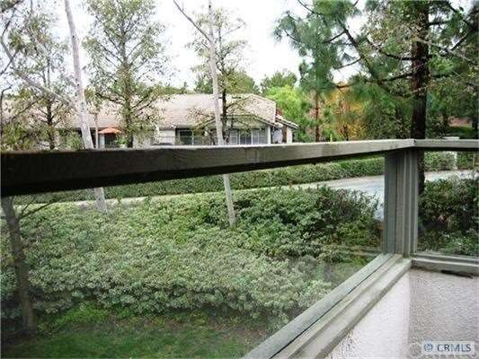View from livingroom and Deck
