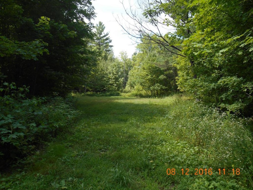 0 Cutler Rd unit 4506445, Lempster, NH 03605 - photo 1