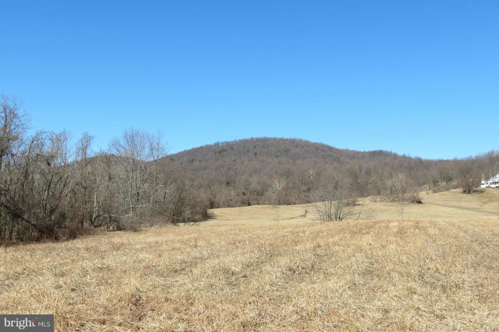 0 Clark Ln unit 1002850618, Sperryville, VA 22740 - photo 1