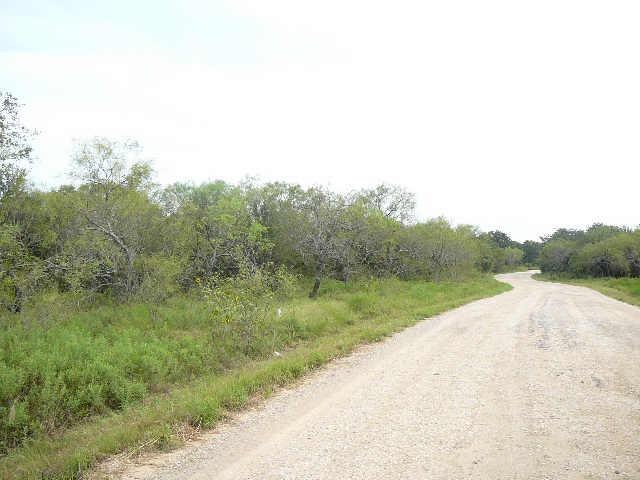 Photos are of the Block 7 section where the lot is