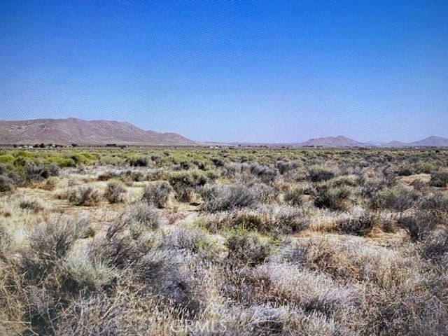 9601 Charan Rd, Rosamond, CA 93560 - photo 1
