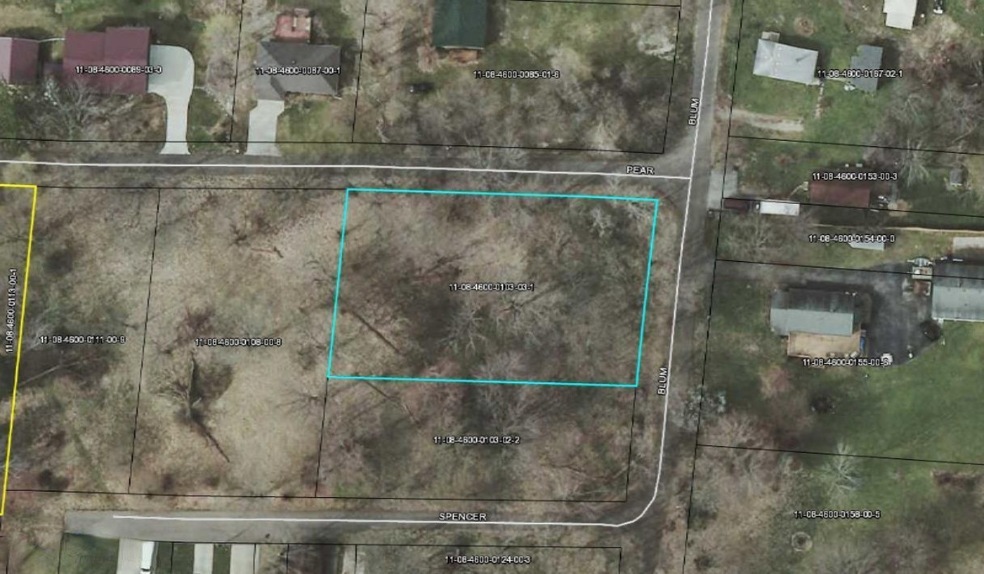 pear lot aerial