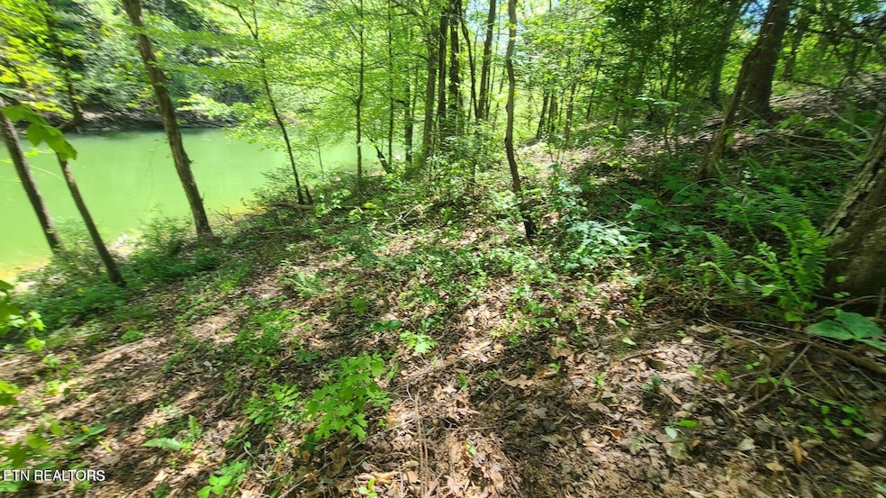 Claiborne Rd Lot 117A, near water's edge