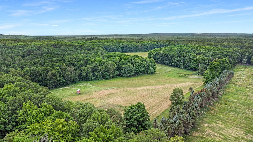 Back acreage with blind