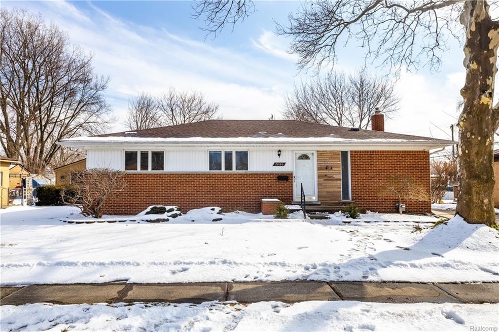 29193 Oriole L039.jpg