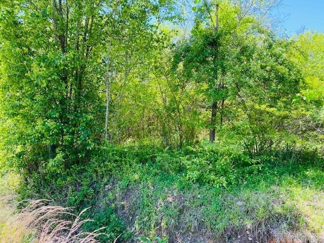 Sold $13,500 • Co-Listing Agent