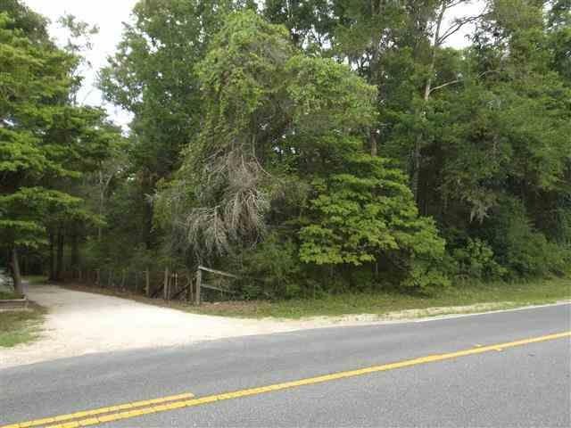0 Spring Creek Hwy unit x 236122, Crawfordville, FL 32327 - photo 1