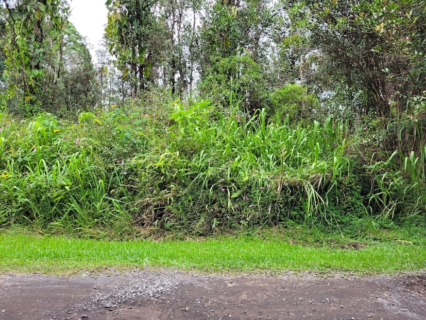 0 37th Ave unit 716560, Kurtistown, HI 96760 - photo 1