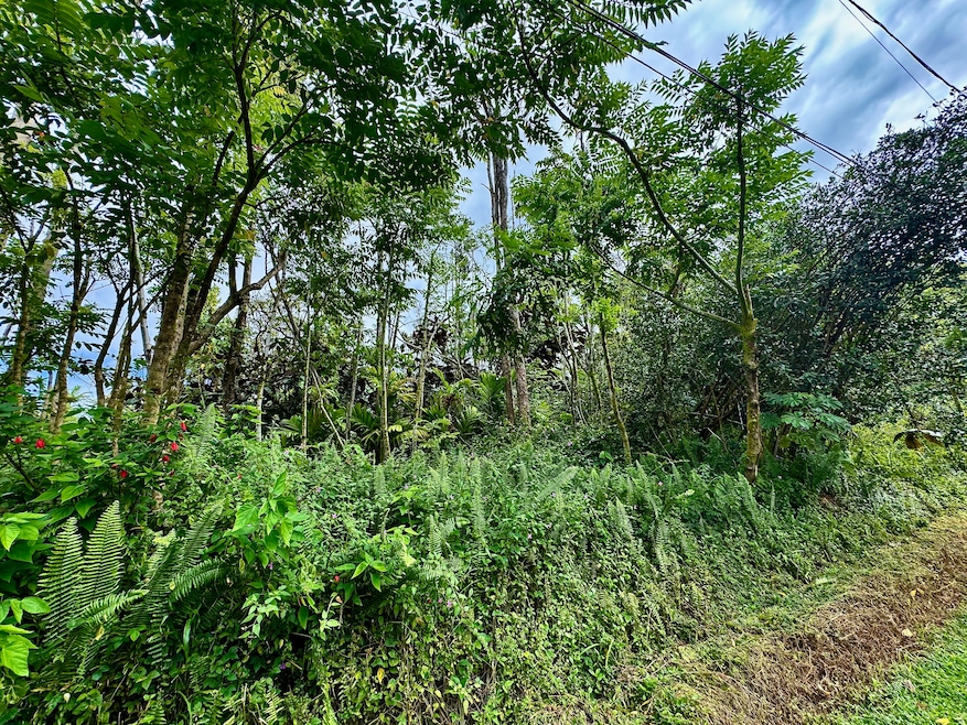 0 Nohea St unit 717620, Pahoa, HI 96778 - photo 1