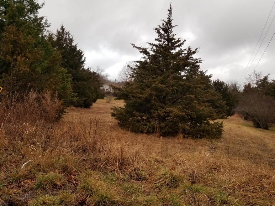 Beeler Road Lot from Street