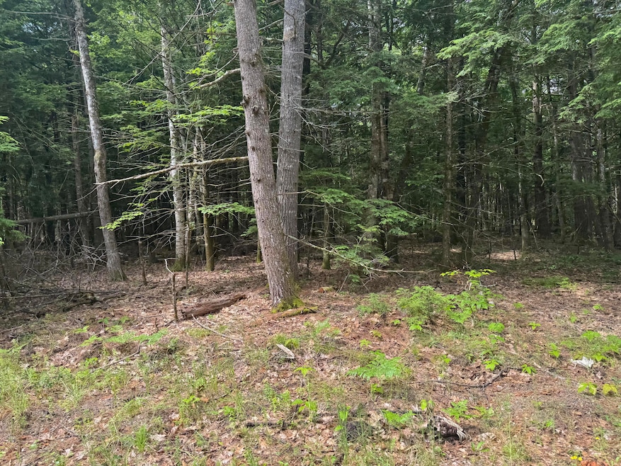 Mp46Lt2017 Island Rd, Limerick, ME 04061 - photo 1