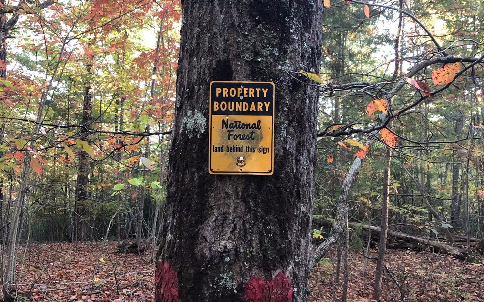 LOT 4 Doublehead Gap Rd, Blue Ridge, GA 30513 - photo 1