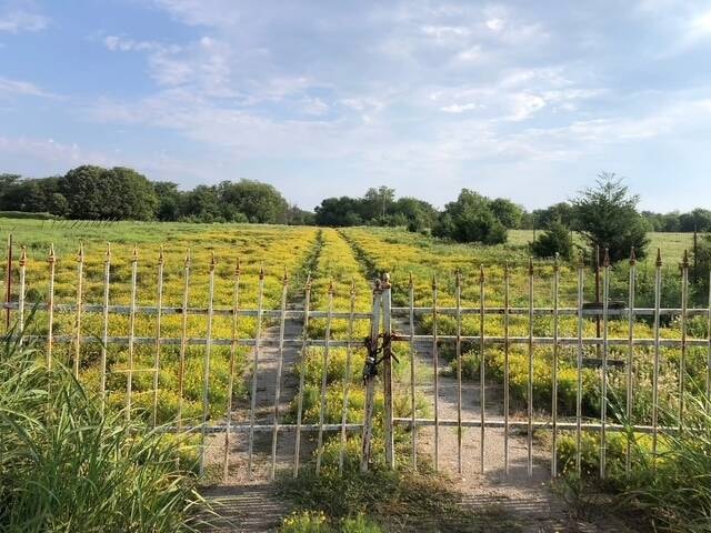 0 E1890 Rd, Coleman, OK 73432 - photo 1