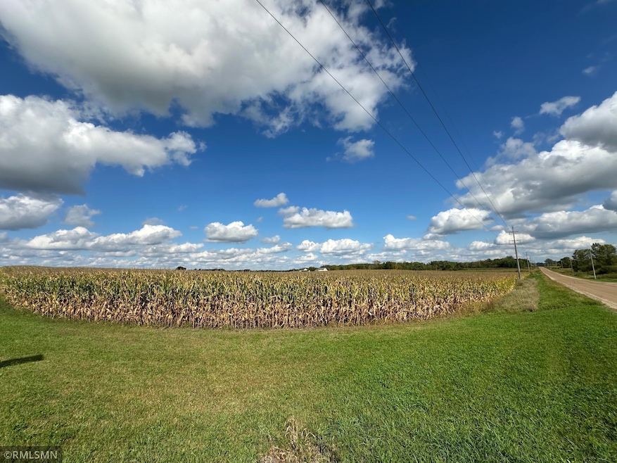 Approximately 35 acres of farmland just west of Maple Lake.