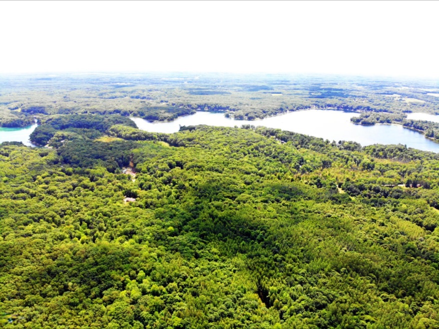 DJI_0320